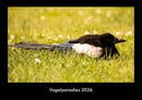 Vogelparadies Fotokalender 2026 - Hauptbild