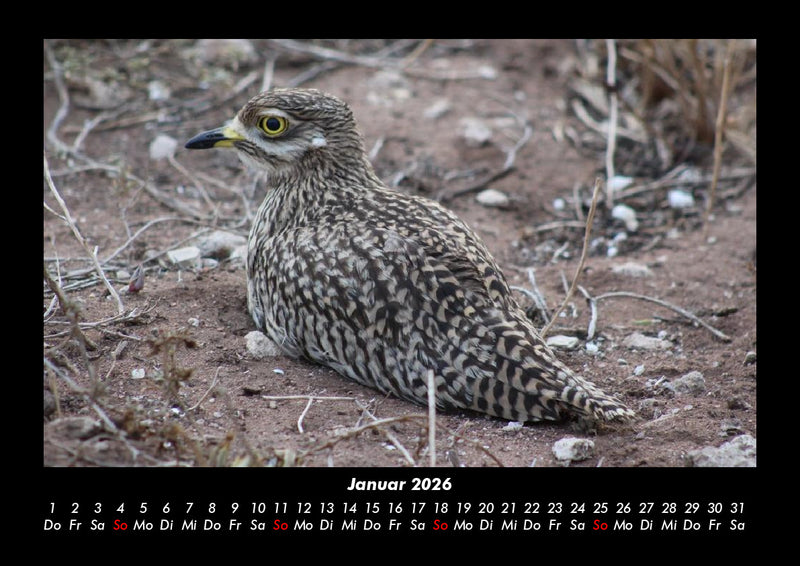 Vogelparadies Fotokalender 2026 - 1
