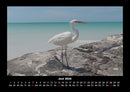 Vogelparadies Fotokalender 2026 - 6
