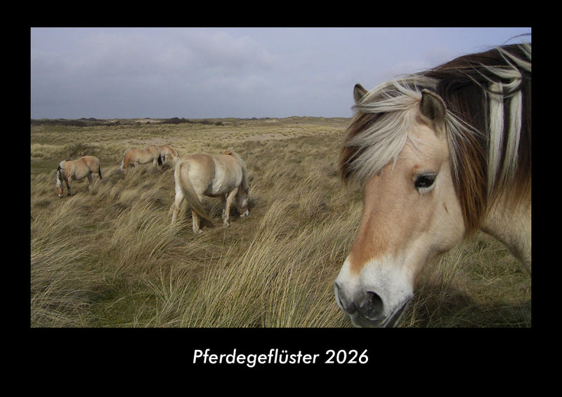 Pferdegeflüster Fotokalender 2026 - Hauptbild