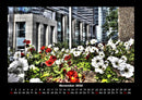 Blumenträume Fotokalender 2026 - 11