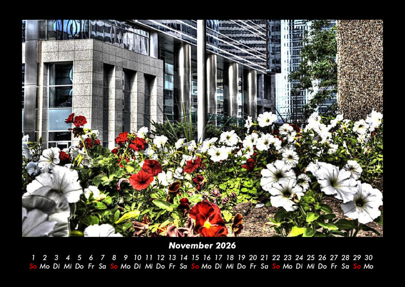 Blumenträume Fotokalender 2026 - 11