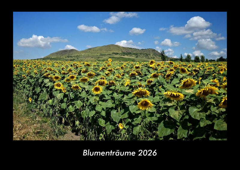 Blumenträume Fotokalender 2026 - Hauptbild