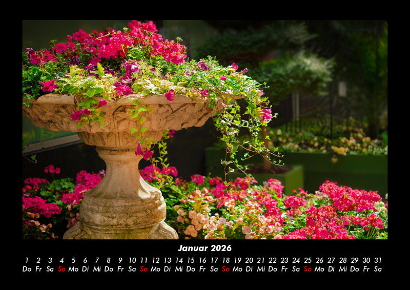 Blumenträume Fotokalender 2026 - 1