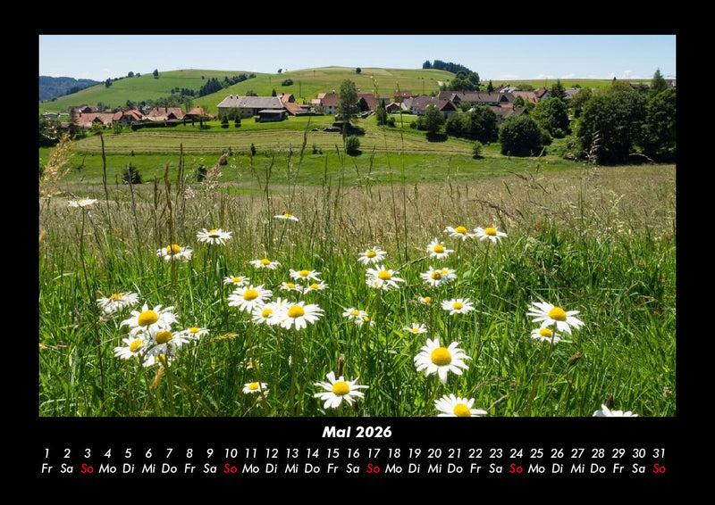 Blumenträume Fotokalender 2026 - 5