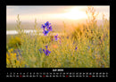 Blumenträume Fotokalender 2026 - 7