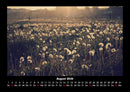 Blumenträume Fotokalender 2026 - 8
