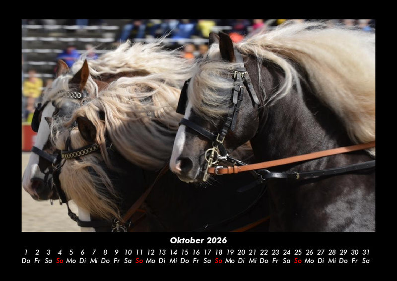 Pferdegeflüster Fotokalender 2026 - 10