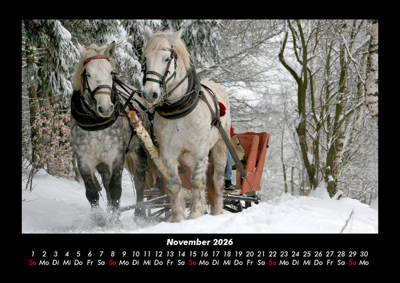Pferdegeflüster Fotokalender 2026 - 11