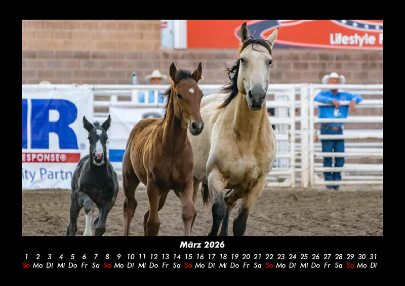 Pferdegeflüster Fotokalender 2026 - 3