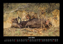 Löwen in der Wildnis Fotokalender 2026 - 6