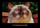 Für Katzenfreunde Fotokalender 2026 - Hauptbild