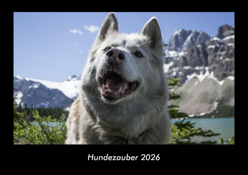 Hundezauber Fotokalender 2026 - Hauptbild