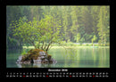 Bäume Fotokalender 2026 - 12