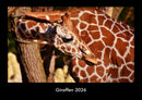 Giraffen Fotokalender 2026 - Hauptbild