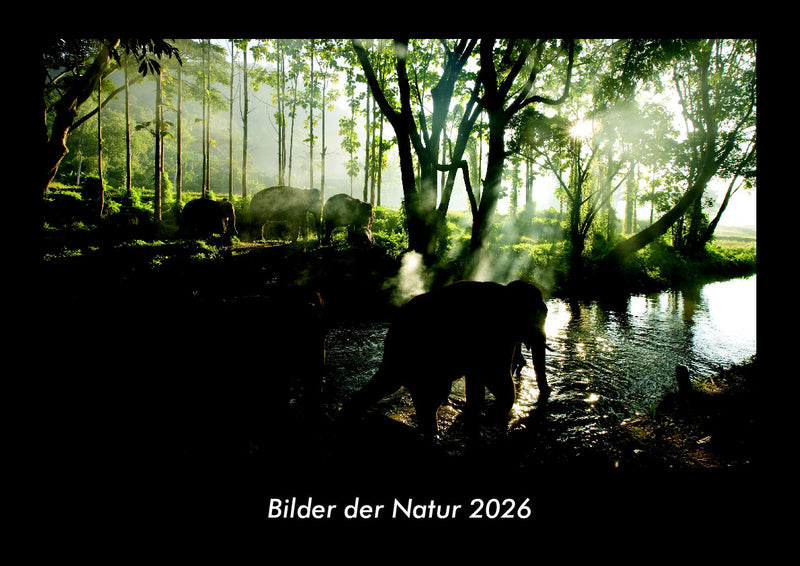 Bilder der Natur Fotokalender 2026 - Hauptbild
