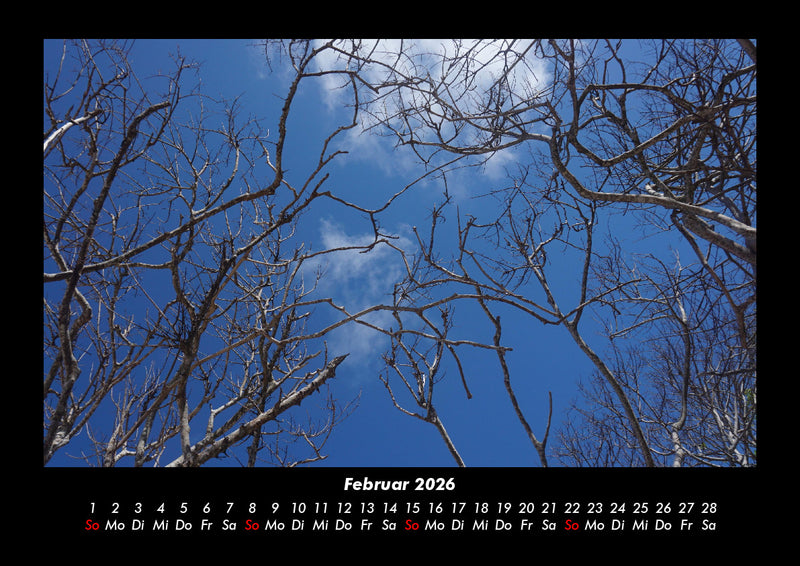 Bilder der Natur Fotokalender 2026 - 2