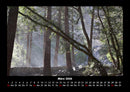 Bilder der Natur Fotokalender 2026 - 3