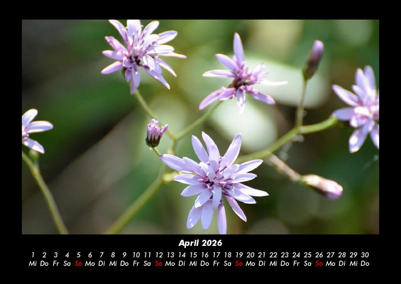 Bilder der Natur Fotokalender 2026 - 4