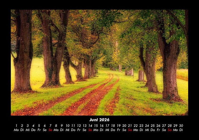 Bilder der Natur Fotokalender 2026 - 6