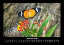 Pflanzen und Blüten Fotokalender 2026 - 11