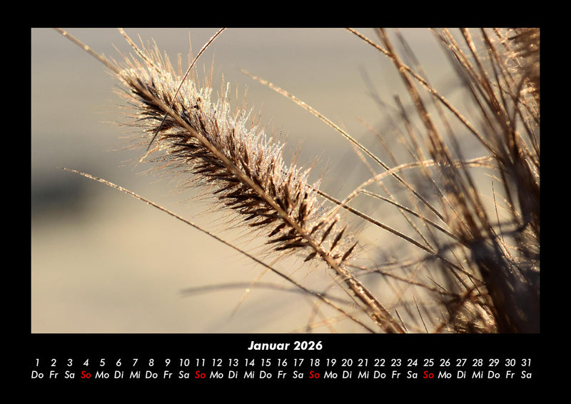 Pflanzen und Blüten Fotokalender 2026 - 1