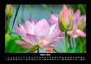 Pflanzen und Blüten Fotokalender 2026 - 3