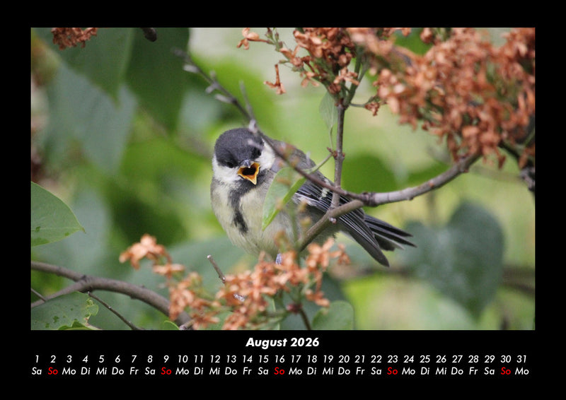 Pflanzen und Blüten Fotokalender 2026 - 8