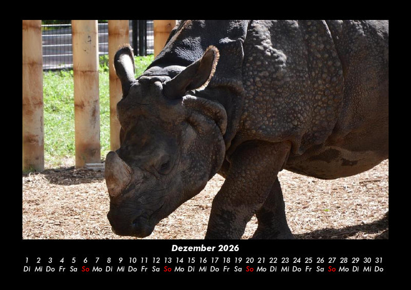 Der Tierkalender Fotokalender 2026 - 12