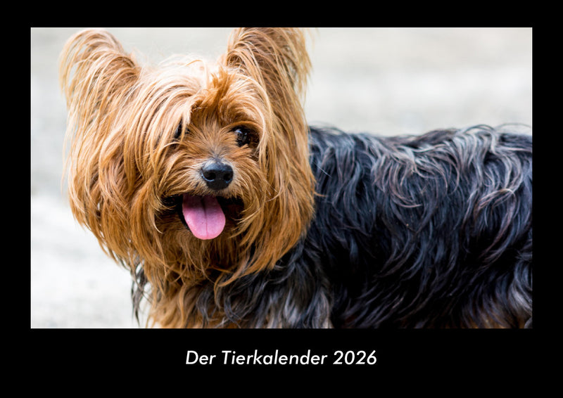 Der Tierkalender Fotokalender 2026 - Hauptbild