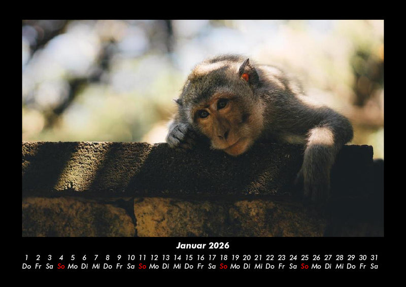 Der Tierkalender Fotokalender 2026 - 1