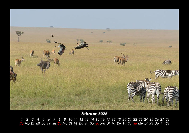 Der Tierkalender Fotokalender 2026 - 2