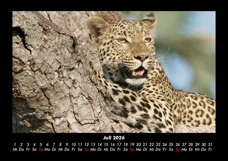 Der Tierkalender Fotokalender 2026 - 7