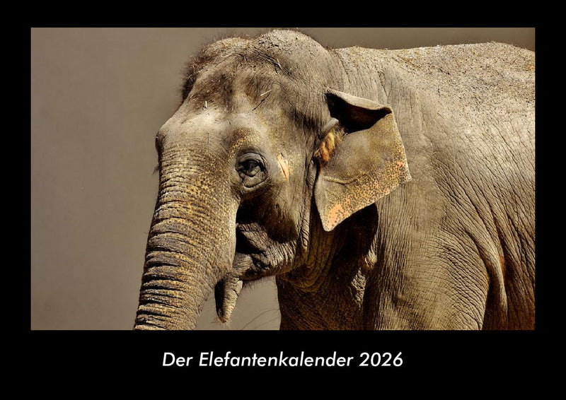 Der Elefantenkalender Fotokalender 2026 - Hauptbild