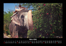 Der Elefantenkalender Fotokalender 2026 - 3