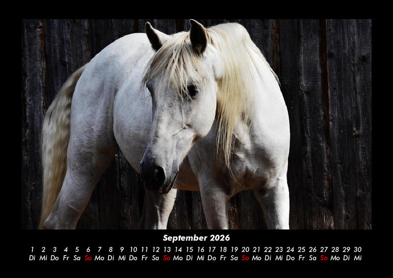 Die Welt der Pferde Fotokalender 2026 - 9