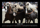 Die Welt der Pferde Fotokalender 2026 - 10