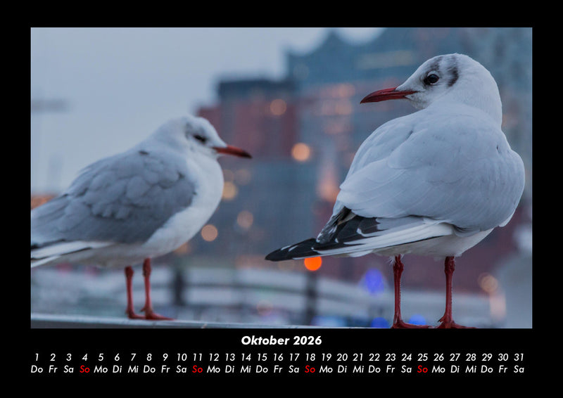 Welt der Vögel Fotokalender 2026 - 10