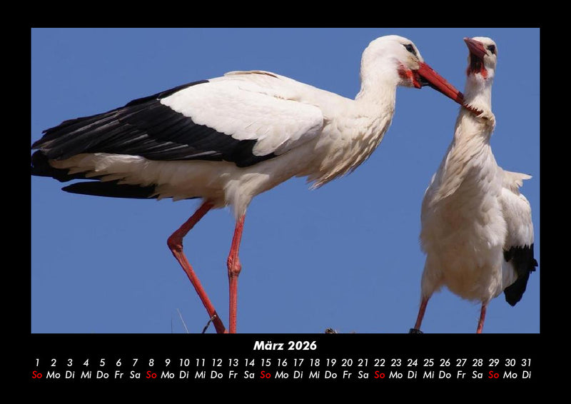 Welt der Vögel Fotokalender 2026 - 3