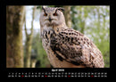 Welt der Vögel Fotokalender 2026 - 4