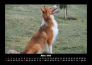 Der Hundekalender Fotokalender 2026 - 3