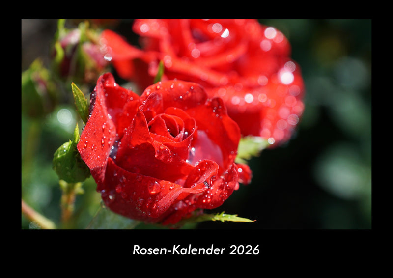 Rosen-Kalender Fotokalender 2026 - Hauptbild