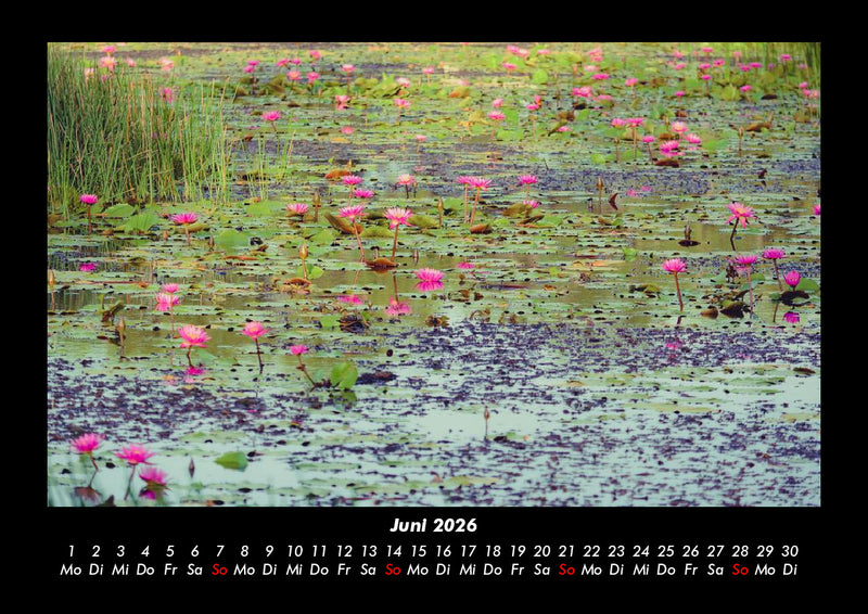 Rosen-Kalender Fotokalender 2026 - 6