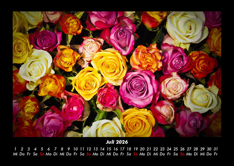 Rosen-Kalender Fotokalender 2026 - 7