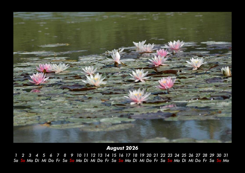Rosen-Kalender Fotokalender 2026 - 8