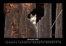 Für Katzenfreunde Fotokalender 2026 - 11