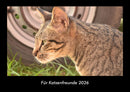 Für Katzenfreunde Fotokalender 2026 - Hauptbild