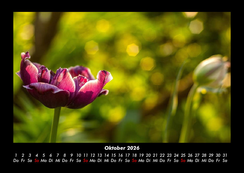 Naturlandschaften Fotokalender 2026 - 10
