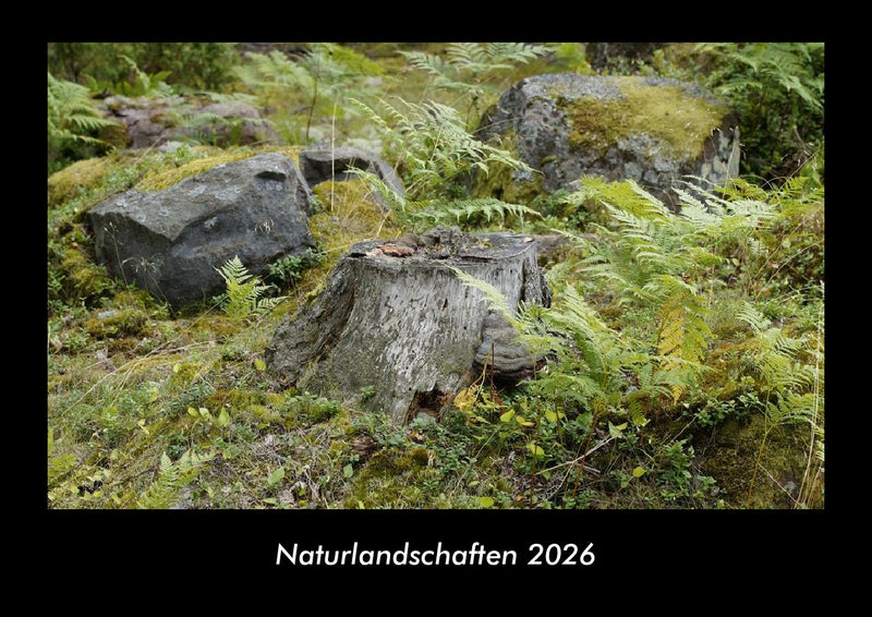 Naturlandschaften Fotokalender 2026 - Hauptbild