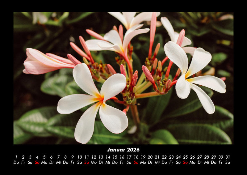 Naturlandschaften Fotokalender 2026 - 1